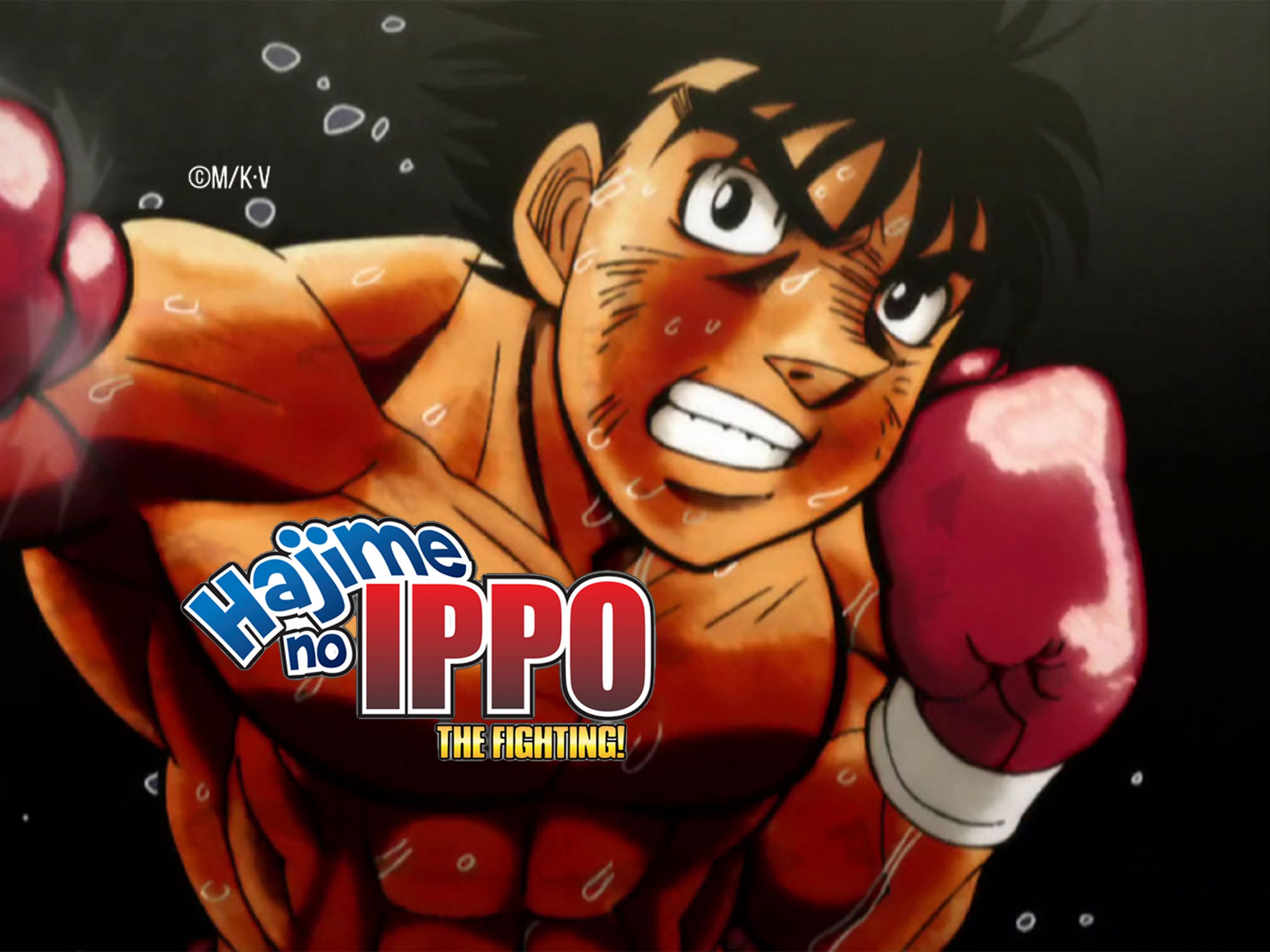 Exploring the Characters of Hajime No Ippo: The Fighters Who Define the Show 4 - Horimiya Merch Store b1d455a1877ea3965ad114b4b166dd551210c9c2110199c81526f20178156eef - Horimiya Merch Store